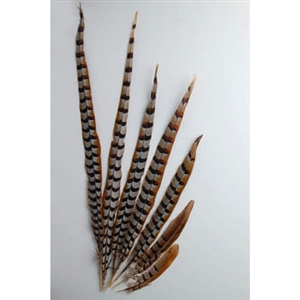 Reeves Pheasant Tails 30"-40"
