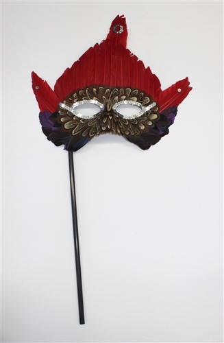 feather mask with peacock feather