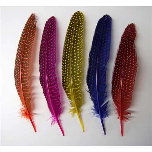 Guinea Quills 6-12" (25 pcs)