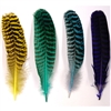 Peacock Quills - Dyed