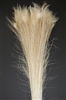 Peacock Tails: Bleached White 30"-35"