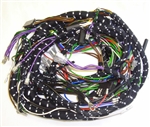 Main Wiring Harness (PB)