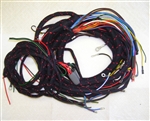 Main Wiring Harness (P,B)