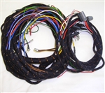 Main Wiring Harness (P,B)