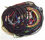 Main Wiring Harness (P,B)