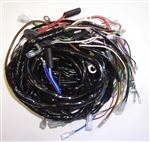 Main and Body Wiring Harness (PP)