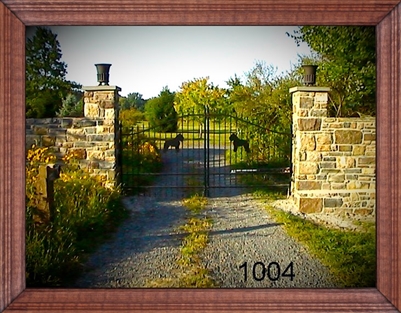 Driveway Gate 1004