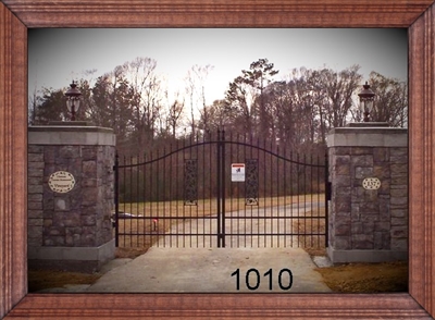 Driveway Gate 1010