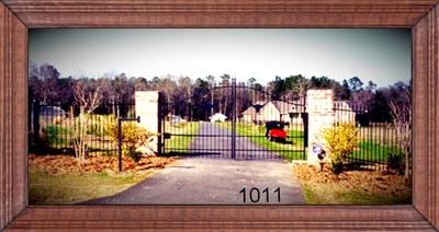 Driveway Gate 1011