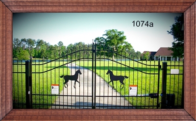 Driveway Gate 1074