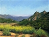 "Drifting Fog, Malibu Hills", Original Oil Painting by Lisa Bloomingdale Bell