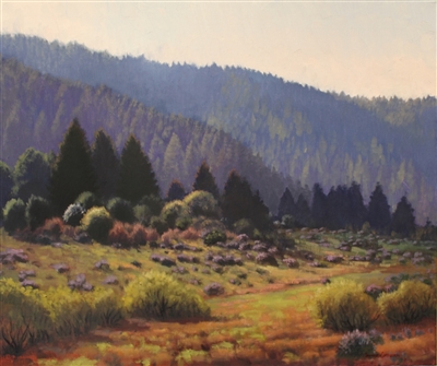 "Bush Lupine, Olema Valley", California Landscape Oil Painting by Armand Cabrera