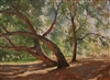 "Old Irvine Park", Impressionist Landscape Oil Painting by Bruce Sanford Day