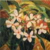 "Plumeria Passion", Ellie Freudenstein Hawaiian Floral Oil Painting