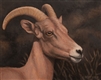 "Bighorn Youth", Original Acrylic Painting of by Arthur Mortimer