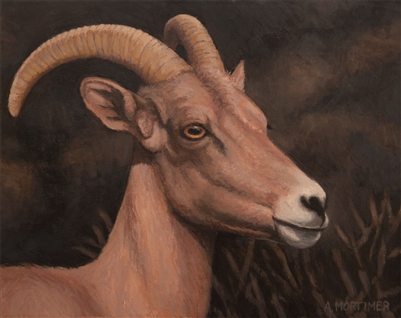 "Bighorn Youth", Original Acrylic Painting of by Arthur Mortimer