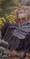 "Bighorn Ewe & Palo Verde", Original Acrylic Painting of by Arthur Mortimer