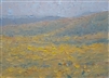 "Mustard Field", Mark Roberts Landscape Oil Painting