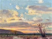 "Sunrise, Borrego Springs", Oil Painting by W.Jason Situ