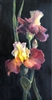 "Purple Iris Solitude", Nyla Witmore Oil Painting