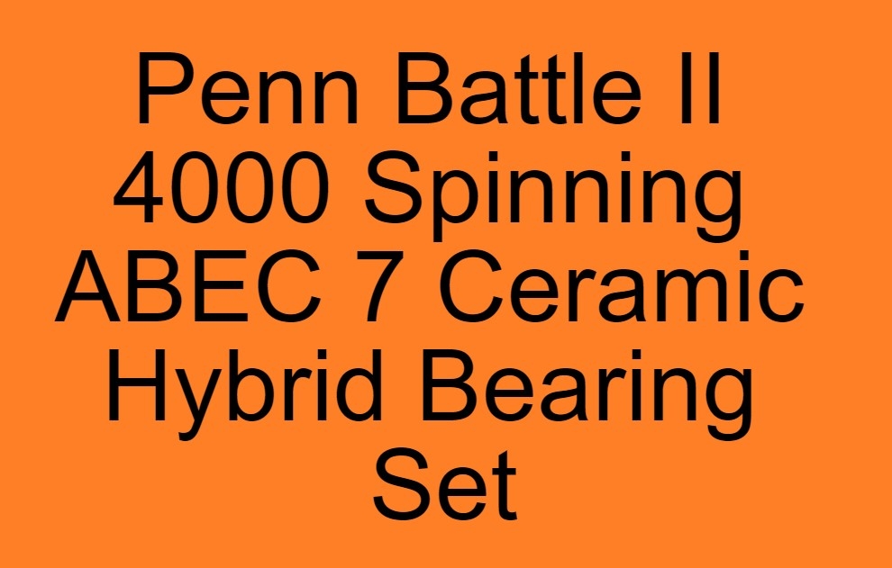FR-379C-OS LD Penn Battle II 4000 Bearings