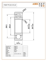 7005 TP Z/S #5 LD, 25x47x12 mm, 7005 ZRO2/C3 FC LD, ABEC357, Angular Contact Full Ceramic, Zirconia ZrO2 Inner/Outer, Grade 5 Si3N4 Ceramic Balls, Peek Retainer, 15 degree contact angle, Light Preload, Open, ABEC #5, Lube Dry.