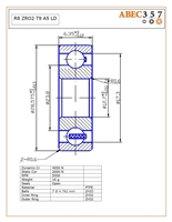 R8 ZRO2 T9 A5 LD, 1/2"x1-1/8"x1/4", 0.5000x1.1250x0.2500 IN, ABEC357, Ceramic, Zirconia ZrO2 Inner/Outer/Balls, PTFE retainer, Open, C0 Fit, ABEC #5, Lube Dry.
