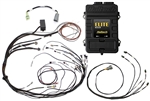 Elite 1000 + Mazda 13B S4/5 CAS with IGN-1A Ignition Terminated Harness Kit