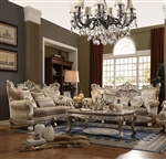 Ranita 2 Piece Sofa Set in Fabric & Champagne Finish by Acme - 51040-S