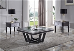 House Beatrice 3 Piece Occasional Table Set in Clear Glass, Charcoal & Light Gray Finish by Acme - 88810-S