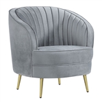 Sophia Chair in Grey Velvet by Coaster - 506866