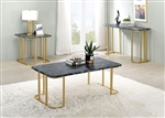 Calista 2 Piece Occasional Table Set in Gold/Black by Furniture of America - FOA-CM4564BK-2PK