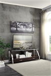 Tioga 60" TV Stand in 2-Tone by Home Elegance - HEL-35330RF-T