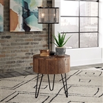 Canyon Accent End Table in Railroad Brown Finish by Liberty Furniture - LIB-2073-AT1020