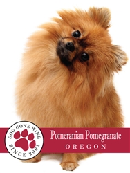 Pomeranian Pomegranate