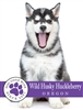 Wild Husky Huckleberry  375ML