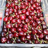 7 Kg Bulk Cherries