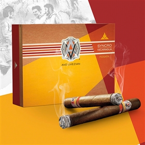 AVO Syncro Fogata Robusto (5 Pack)