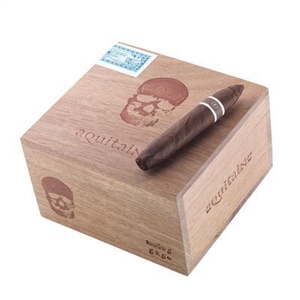 CroMagnon Aquuitaine Breuil