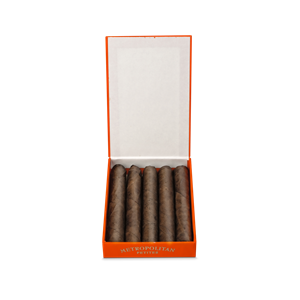 Ferio Tego Metropolitan Maduro Petite
