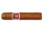 Hoyo Robusto