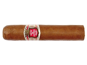 Hoyo Robusto