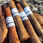 Leaf Connecticut Lancero (20/Bundle)