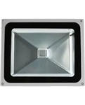 PRODUCT PHOTO: 50 Watt RGB Smart Pixel Flood Light (Instructional Information)