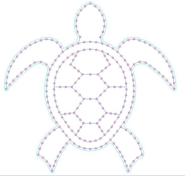 PRODUCT PHOTO: Turtle