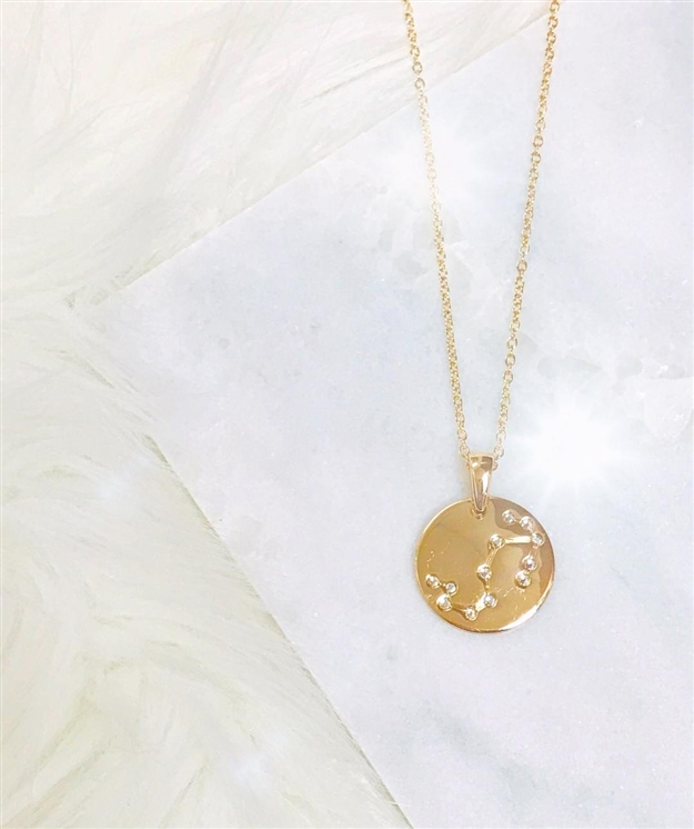 Zodiac Coin Necklace on white background