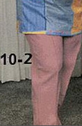 (10-2) Polyester Pants