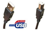 ACC USB 2.0 A-B MALE TO MALE CABLE BLACK (10FT) CUABMM10B