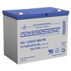 POWERSONIC PG-12V55 M6 FR 12V 55AH LONG LIFE (VRLA)         SLA BATTERY