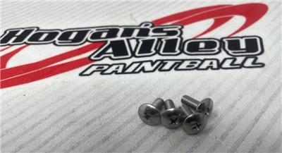 BRC Stainless Steel Body Screws (4 Pack)